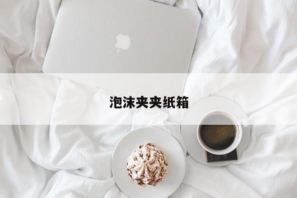 泡沫夾夾紙箱